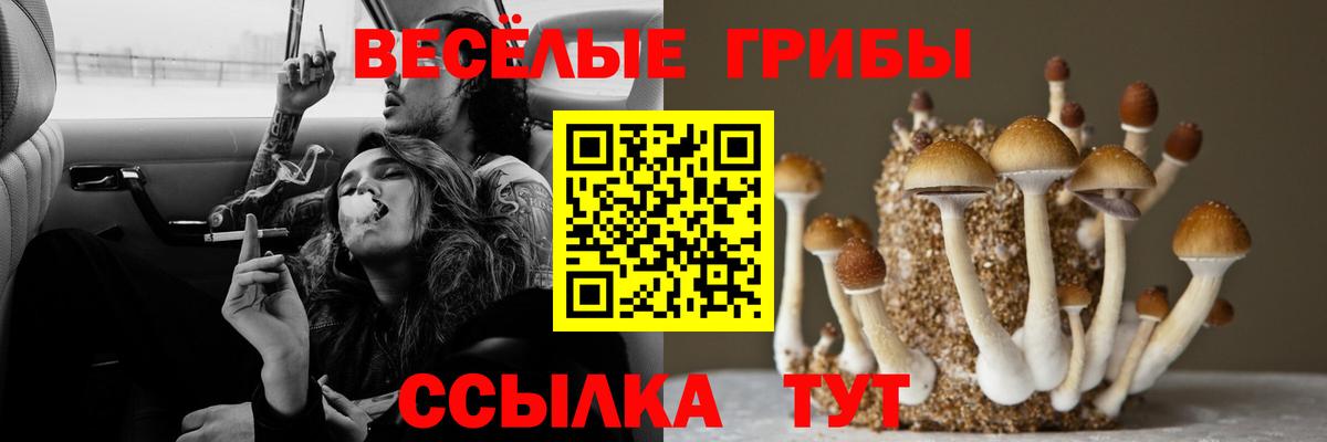 Псилоцибиновые грибы ЛСД Керчь