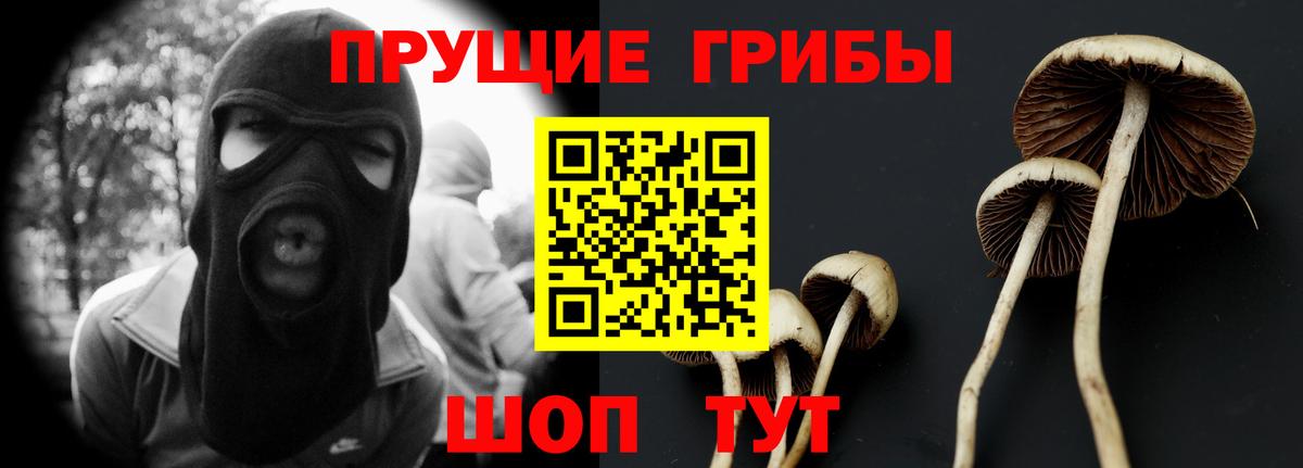 Галлюциногенные грибы MAGIC MUSHROOMS  Вход с VPN  Галлюциногенные грибы ЛСД  наркошоп  Керчь 